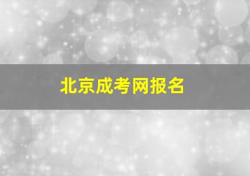 北京成考网报名