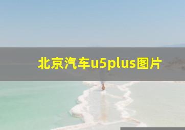 北京汽车u5plus图片