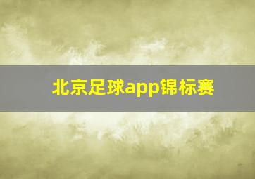 北京足球app锦标赛