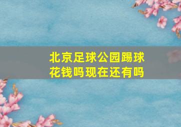 北京足球公园踢球花钱吗现在还有吗