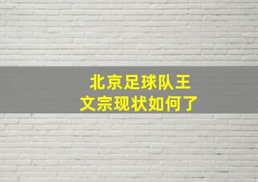 北京足球队王文宗现状如何了