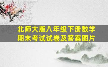 北师大版八年级下册数学期末考试试卷及答案图片