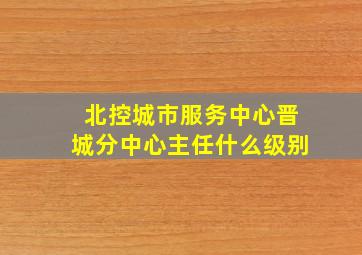 北控城市服务中心晋城分中心主任什么级别