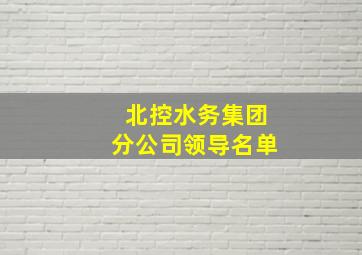 北控水务集团分公司领导名单