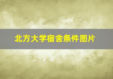 北方大学宿舍条件图片