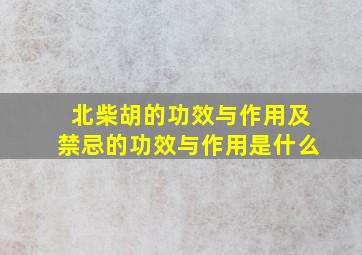 北柴胡的功效与作用及禁忌的功效与作用是什么