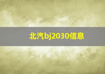 北汽bj2030信息