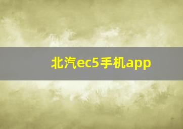 北汽ec5手机app