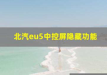 北汽eu5中控屏隐藏功能