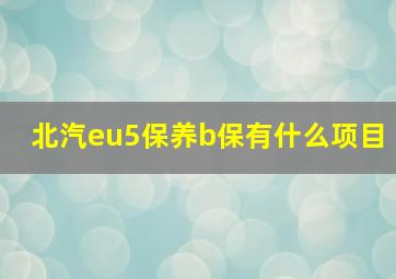 北汽eu5保养b保有什么项目