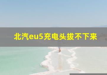 北汽eu5充电头拔不下来