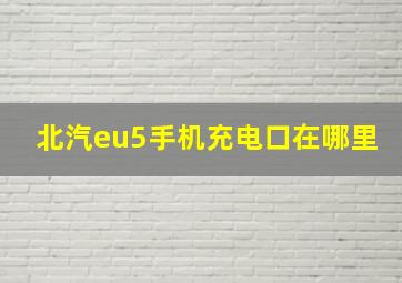 北汽eu5手机充电口在哪里