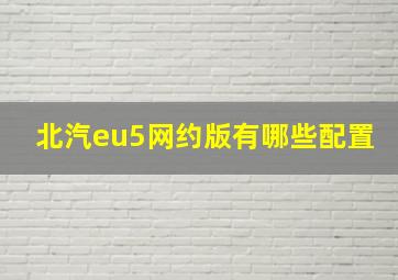 北汽eu5网约版有哪些配置