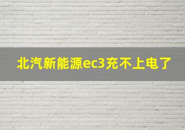 北汽新能源ec3充不上电了