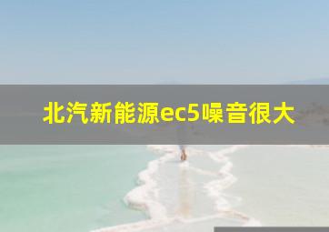 北汽新能源ec5噪音很大