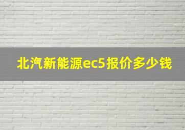 北汽新能源ec5报价多少钱