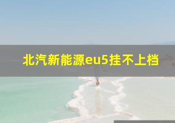 北汽新能源eu5挂不上档