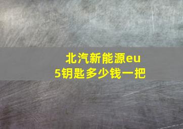 北汽新能源eu5钥匙多少钱一把