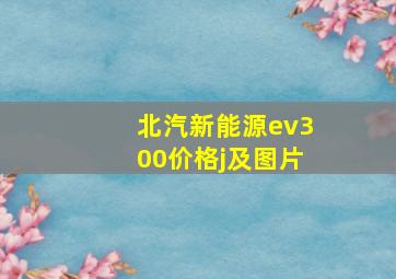 北汽新能源ev300价格j及图片