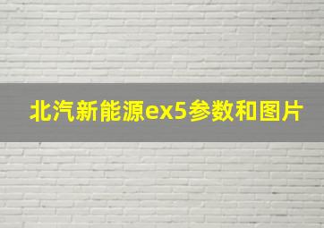 北汽新能源ex5参数和图片