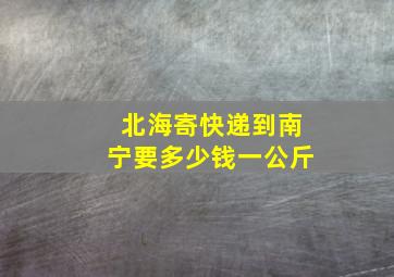 北海寄快递到南宁要多少钱一公斤