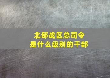 北部战区总司令是什么级别的干部