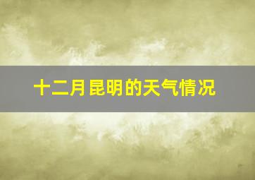 十二月昆明的天气情况