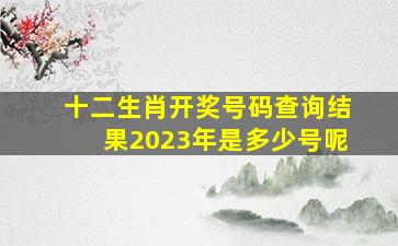 十二生肖开奖号码查询结果2023年是多少号呢