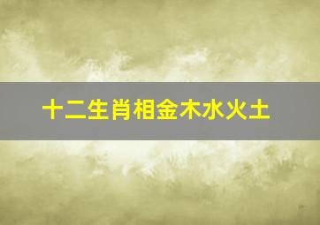 十二生肖相金木水火土