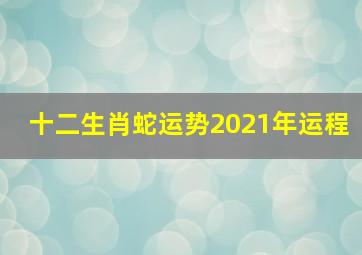 十二生肖蛇运势2021年运程