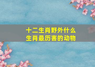 十二生肖野外什么生肖最历害的动物