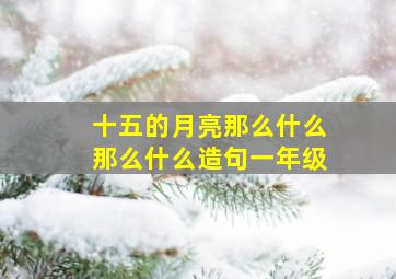 十五的月亮那么什么那么什么造句一年级