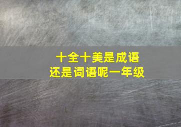 十全十美是成语还是词语呢一年级