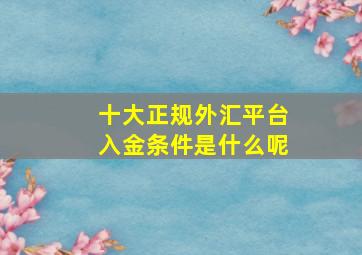 十大正规外汇平台入金条件是什么呢