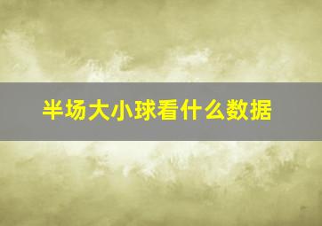 半场大小球看什么数据