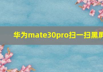 华为mate30pro扫一扫黑屏