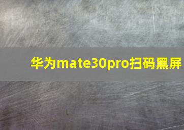 华为mate30pro扫码黑屏