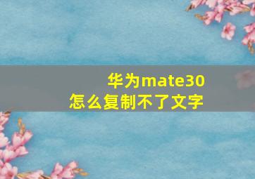 华为mate30怎么复制不了文字