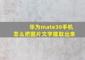 华为mate30手机怎么把图片文字提取出来