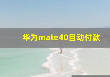 华为mate40自动付款