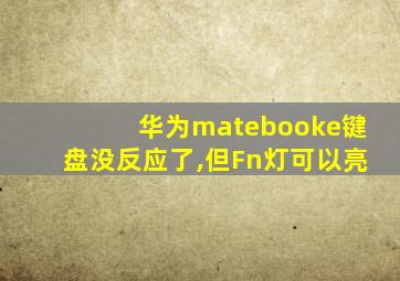 华为matebooke键盘没反应了,但Fn灯可以亮