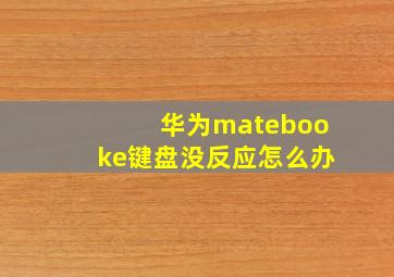 华为matebooke键盘没反应怎么办