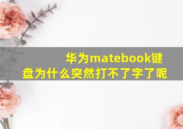 华为matebook键盘为什么突然打不了字了呢