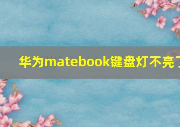 华为matebook键盘灯不亮了