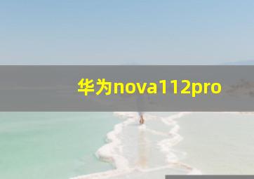 华为nova112pro