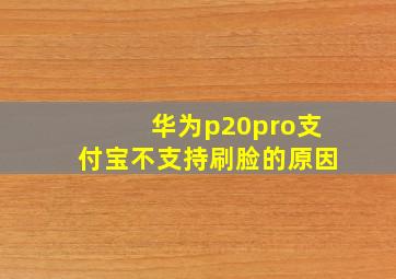 华为p20pro支付宝不支持刷脸的原因