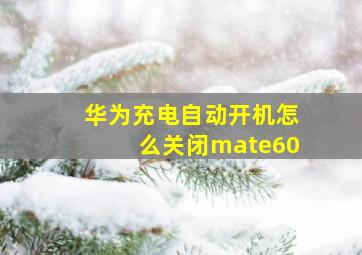 华为充电自动开机怎么关闭mate60