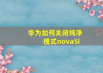 华为如何关闭纯净模式nova5i