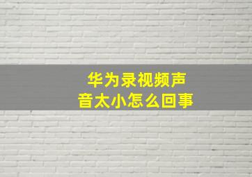 华为录视频声音太小怎么回事