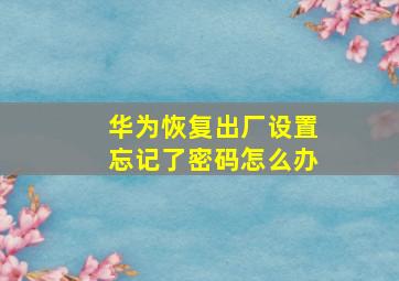 华为恢复出厂设置忘记了密码怎么办